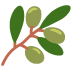 olive