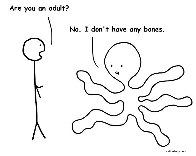 octopus-no-bones-1