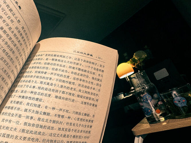 聊以自慰