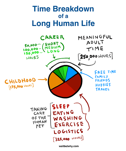 Pie-Chart