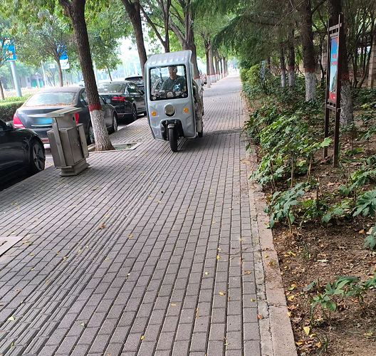 带棚电动三轮车 2
