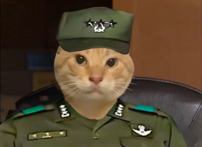 韩式耄耋