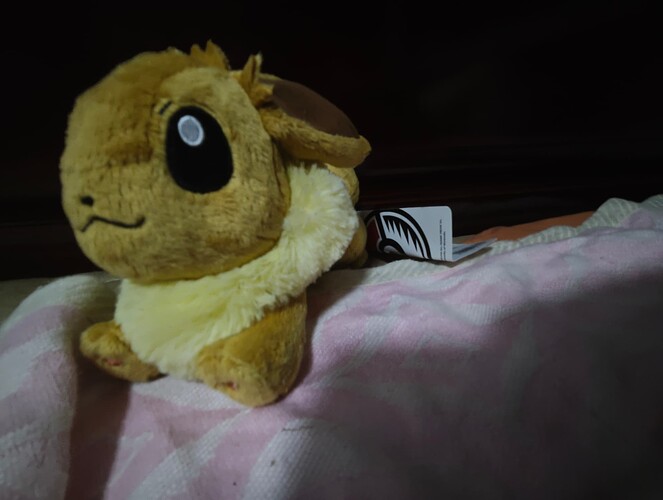 MVIMG_20250812_015335