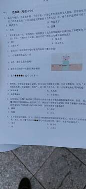 3c8d44dbe997db870374f111dd9317f2_720