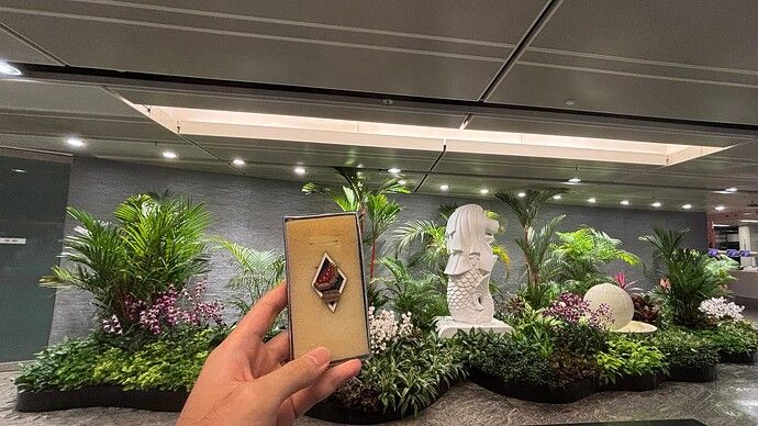 鱼尾狮，但是樟宜机场