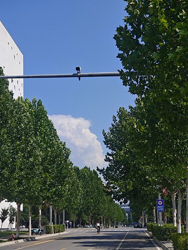 MVIMG_20250628_151746