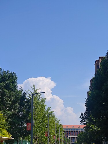MVIMG_20250628_151544