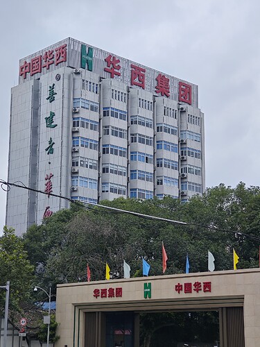 The image shows a tall building with a modern design, adorned with numerous Chinese characters and a row of colorful flags. (由 AI 生成标题)