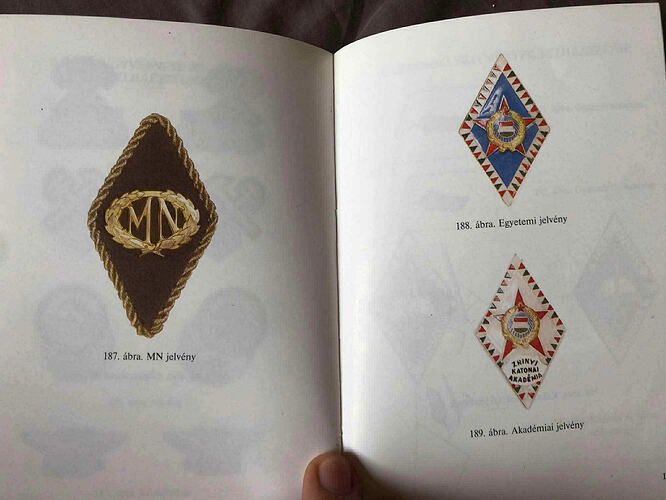 热心匈网友供图;条例中的两证章