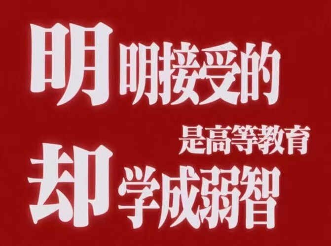 也算趣图（吧？）