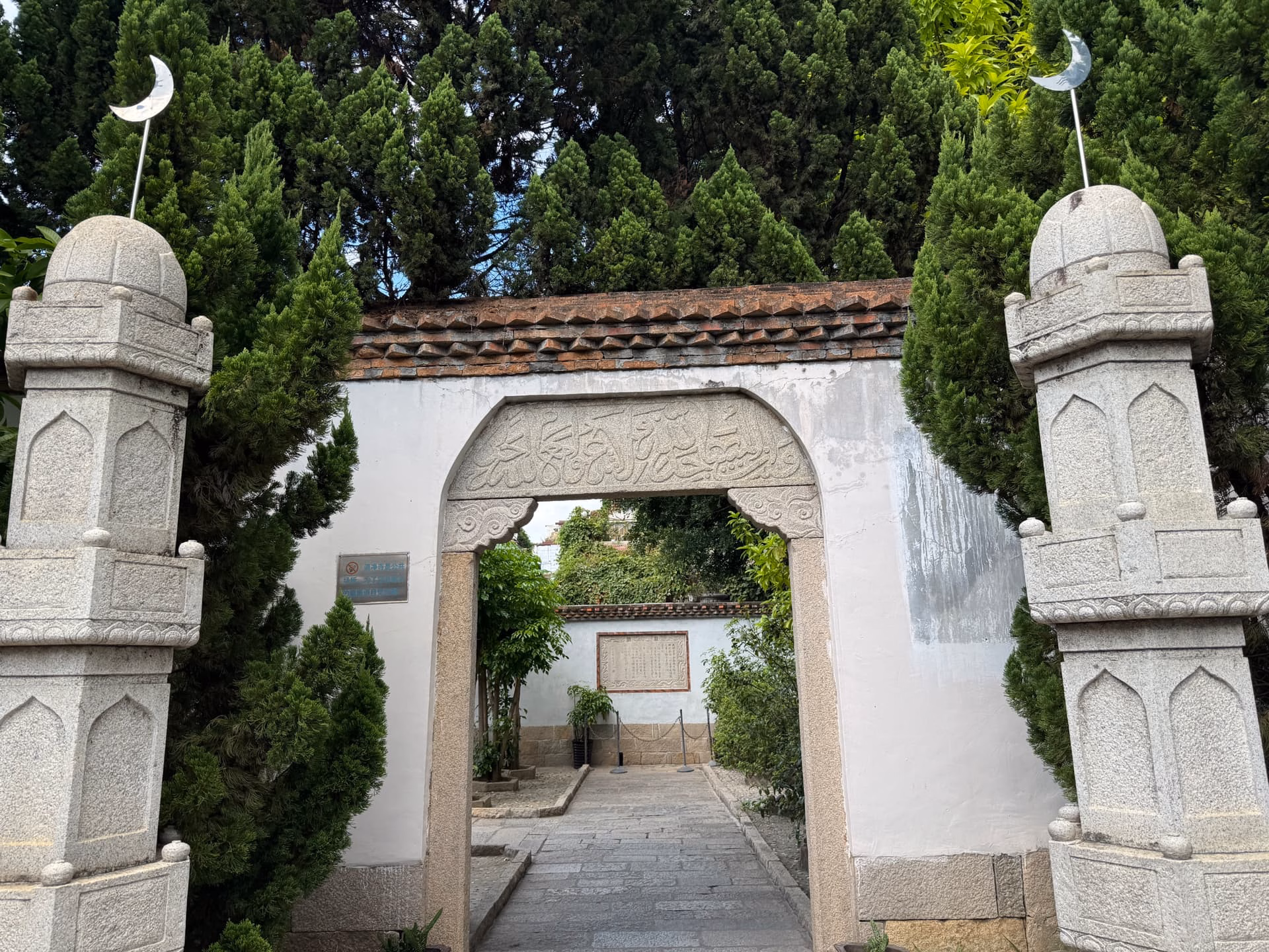 IMG_3249|666x500