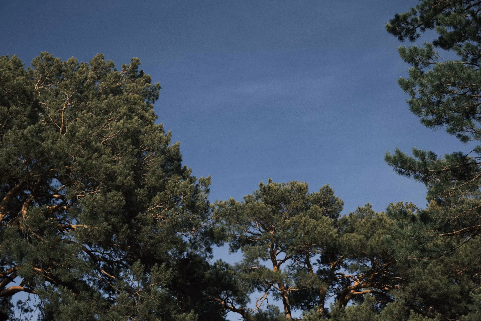 image|690x460