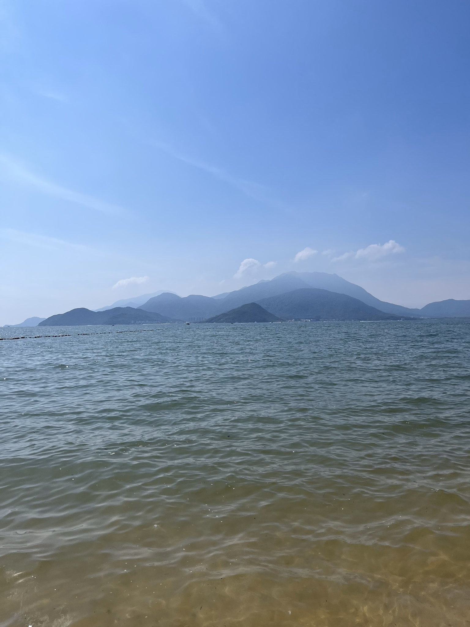 IMG_5005|375x500
