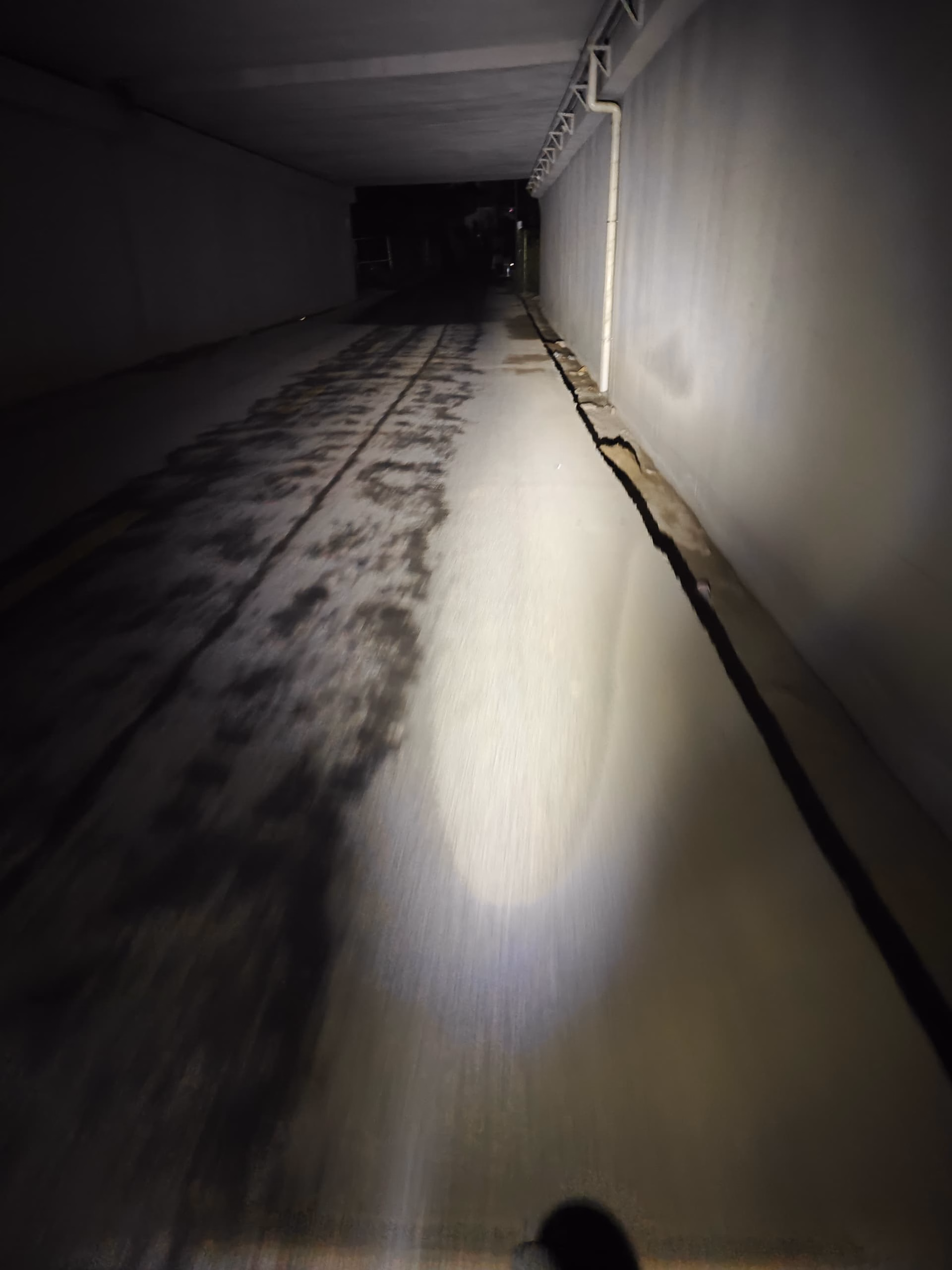 IMG_20231030_210048|375x500