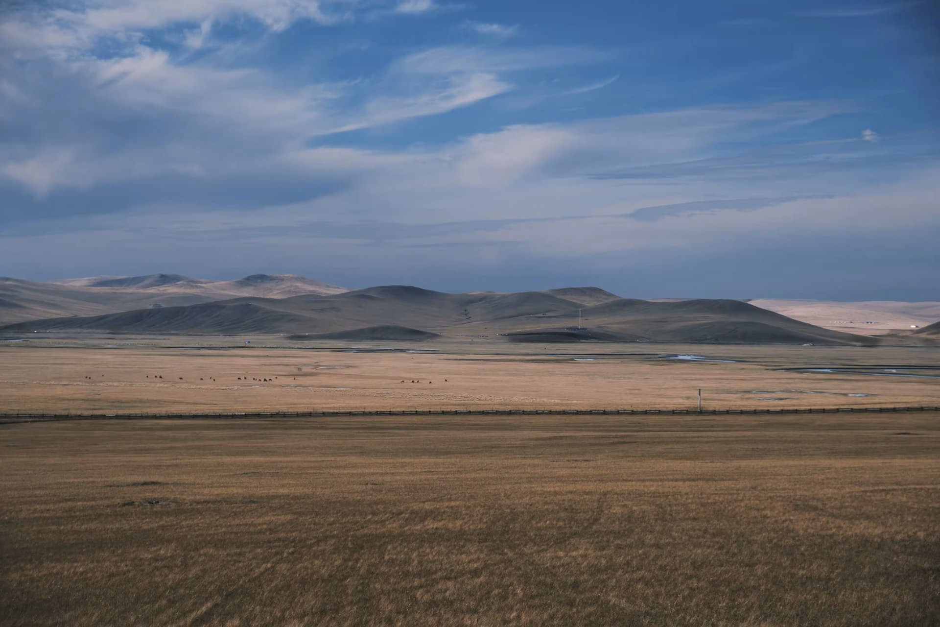 image|690x460