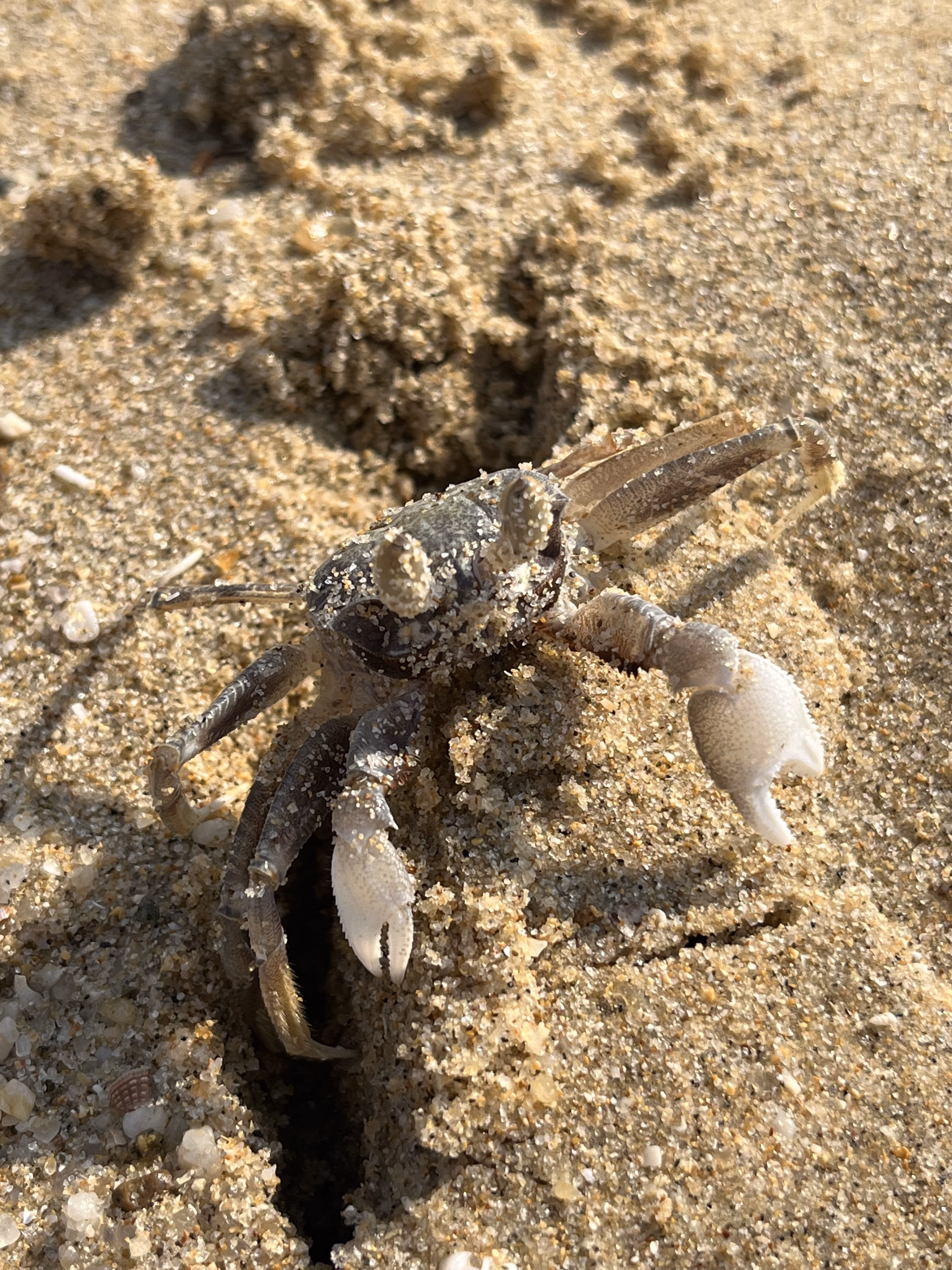 IMG_6959.HEIC|375x500