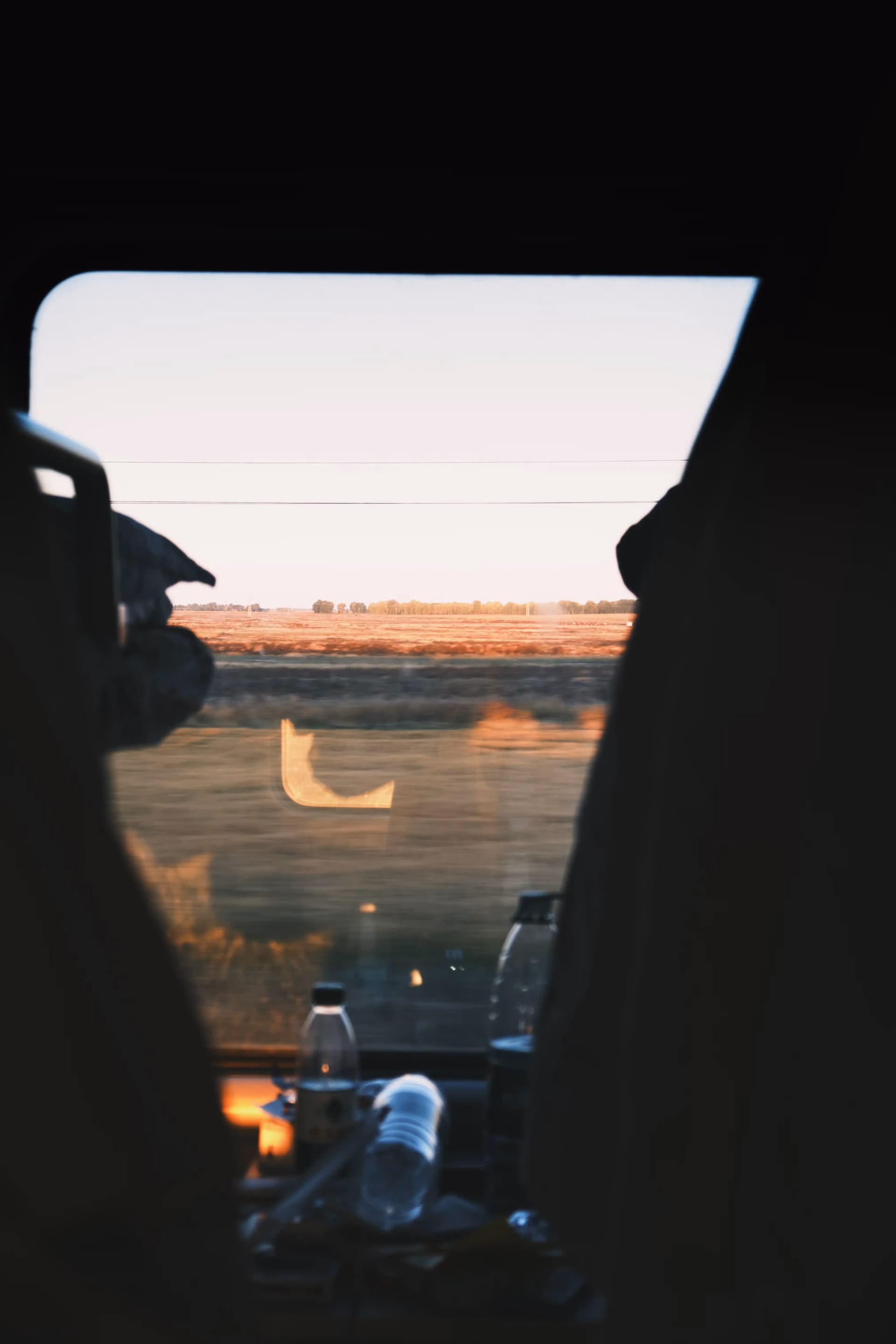 image|333x500