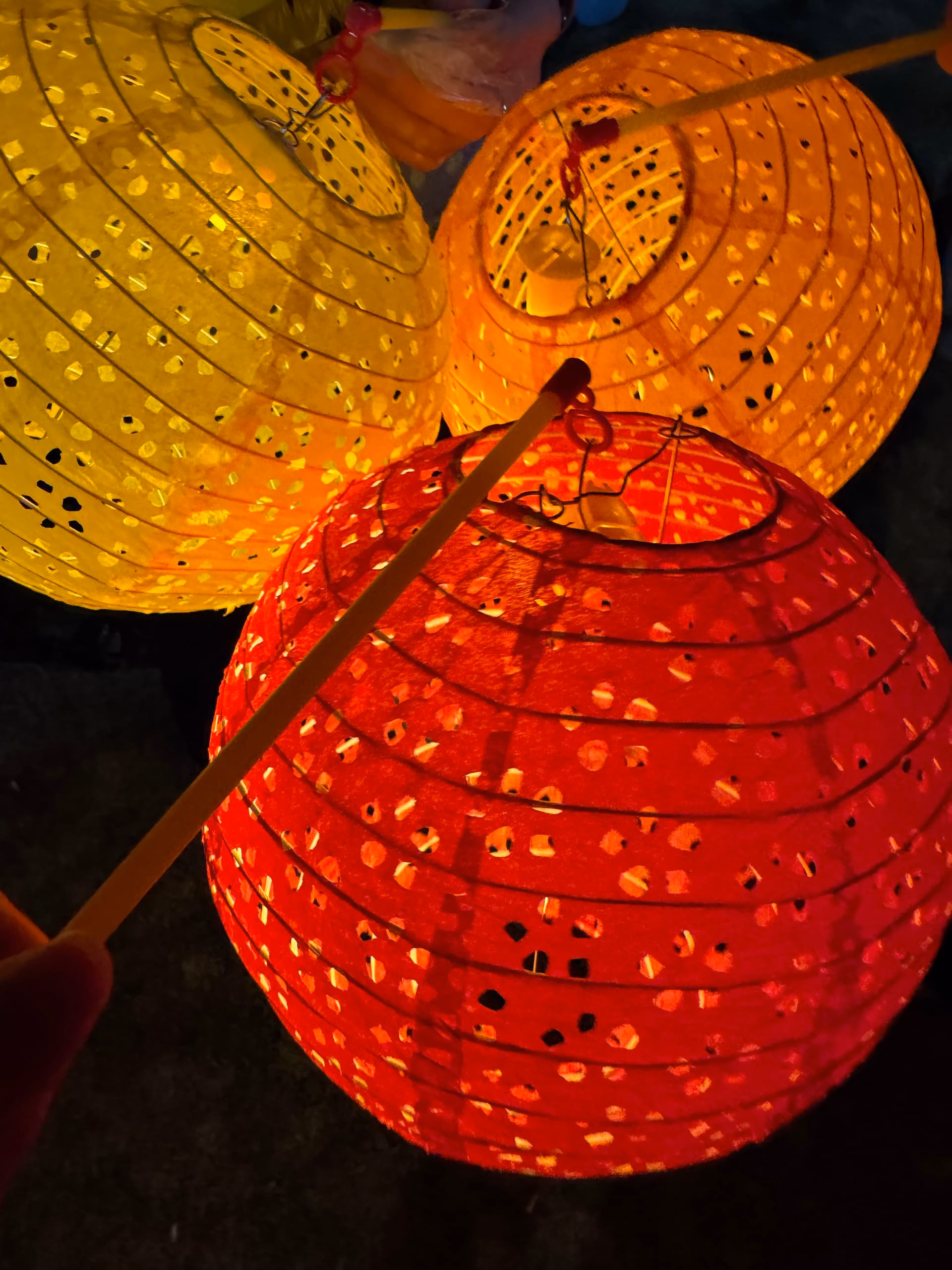 IMG_6140|375x500