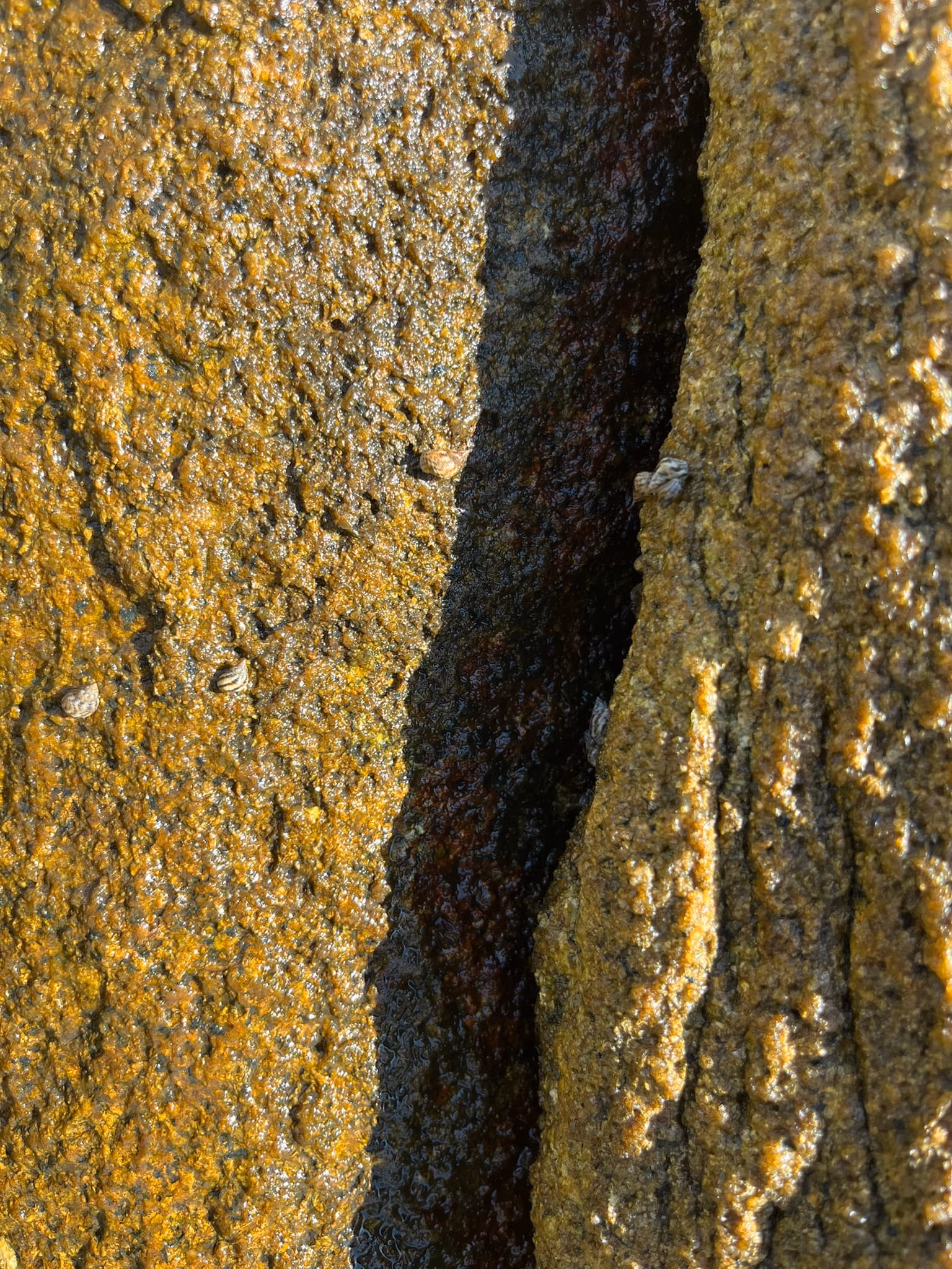 IMG_5039|375x500