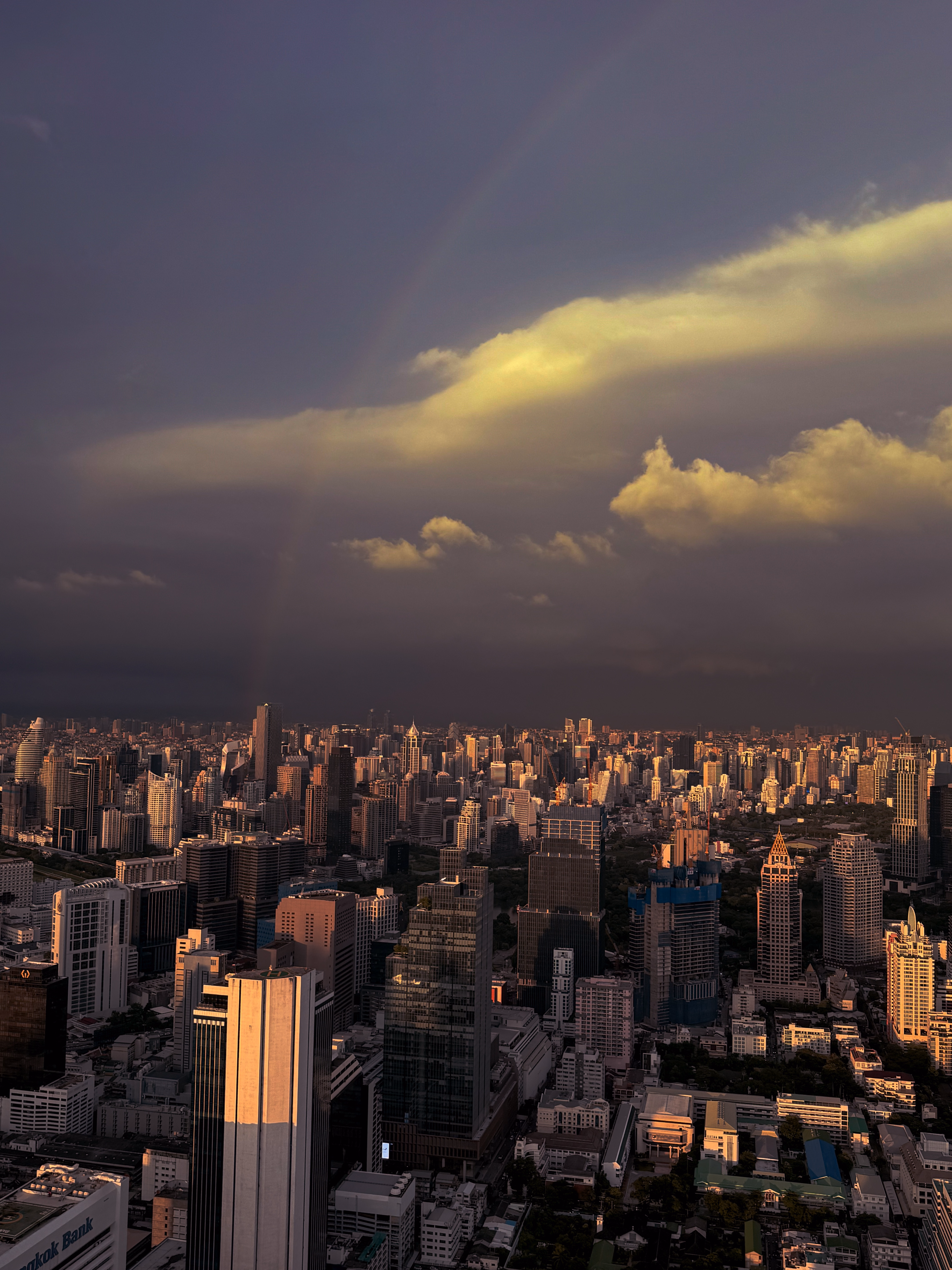🌈|375x499