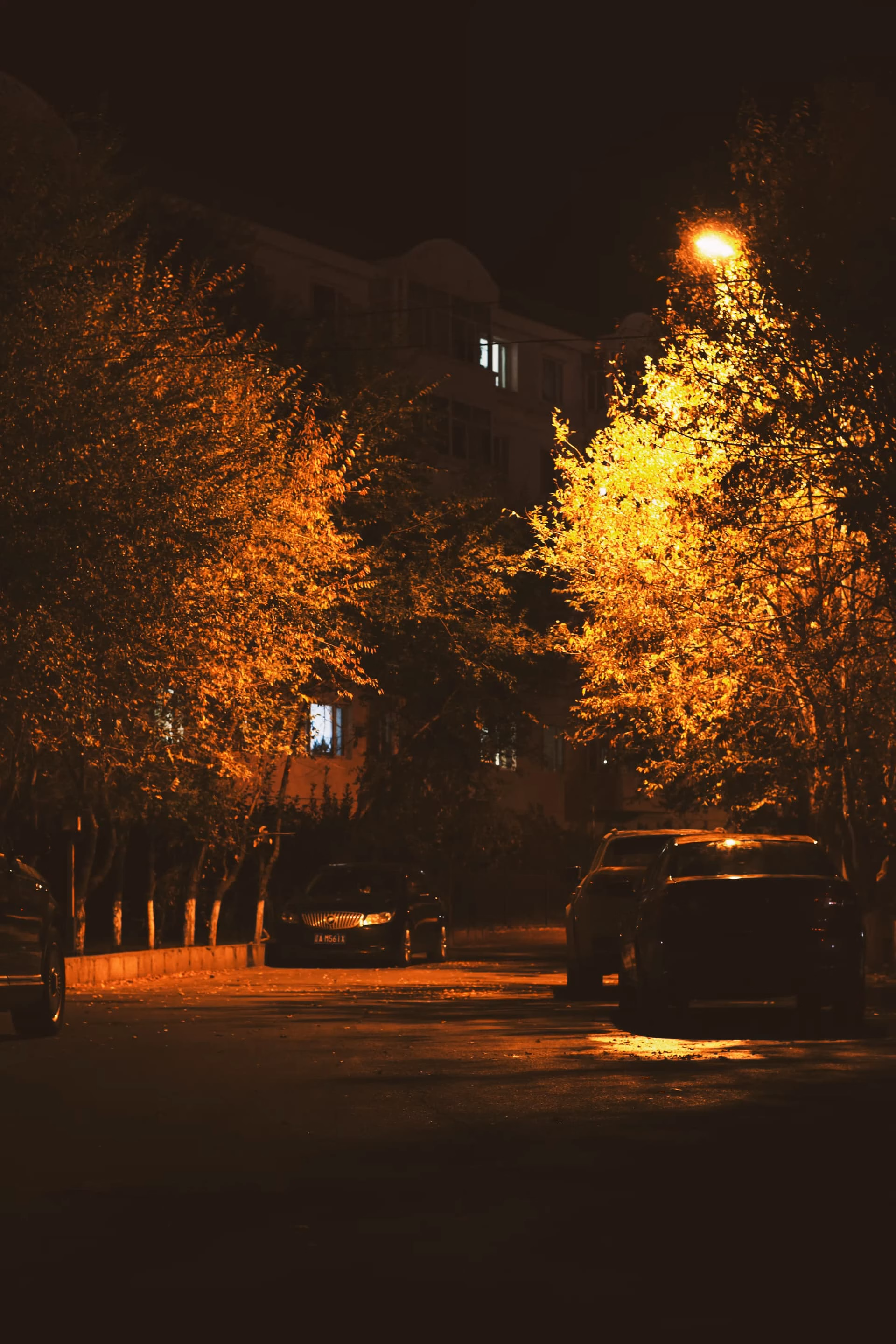 image|333x500