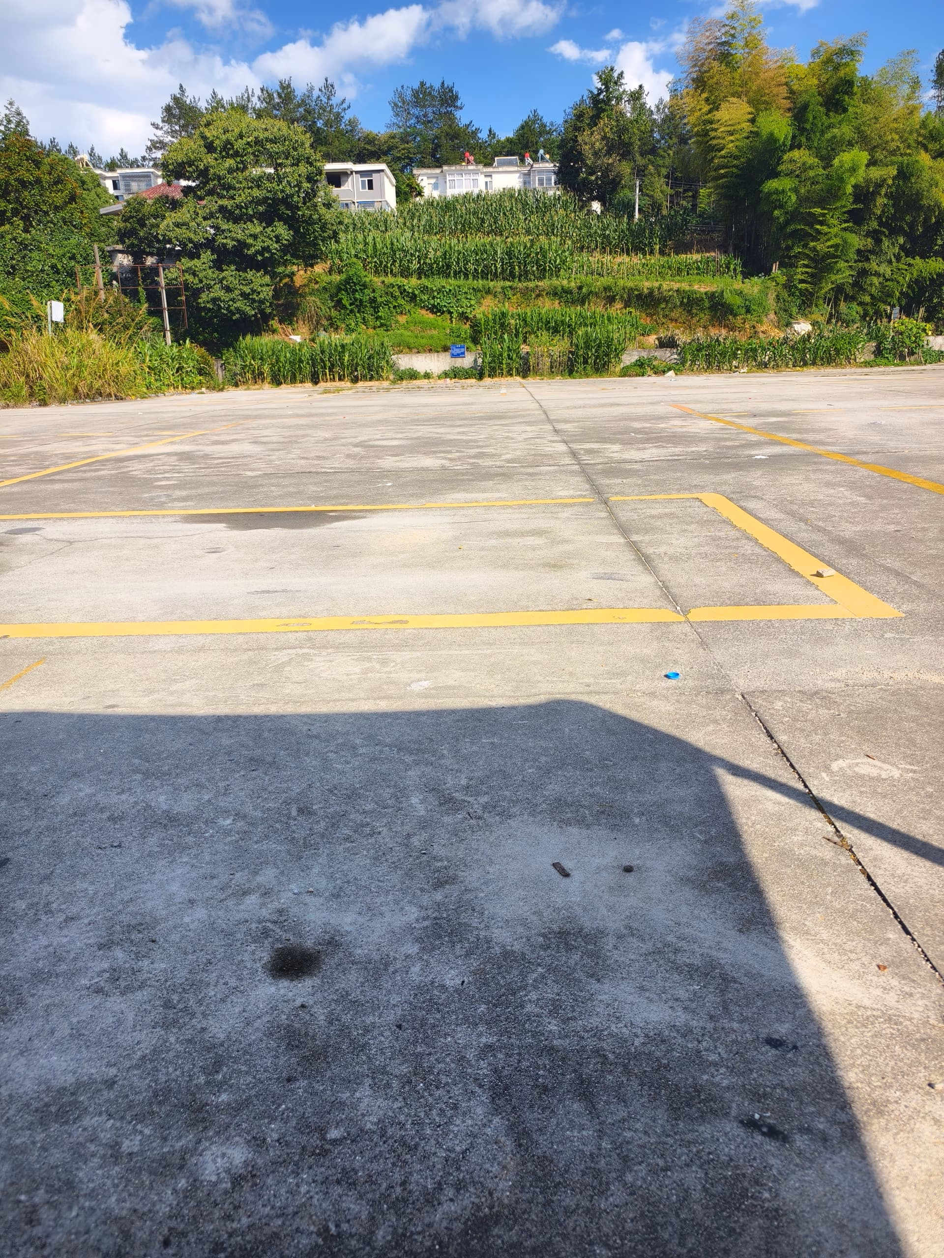 IMG_20250708_162308|375x500