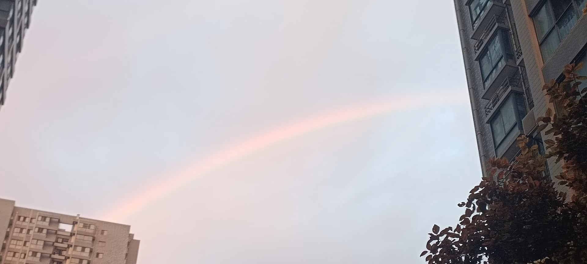 MVIMG_20240616_195358|690x310