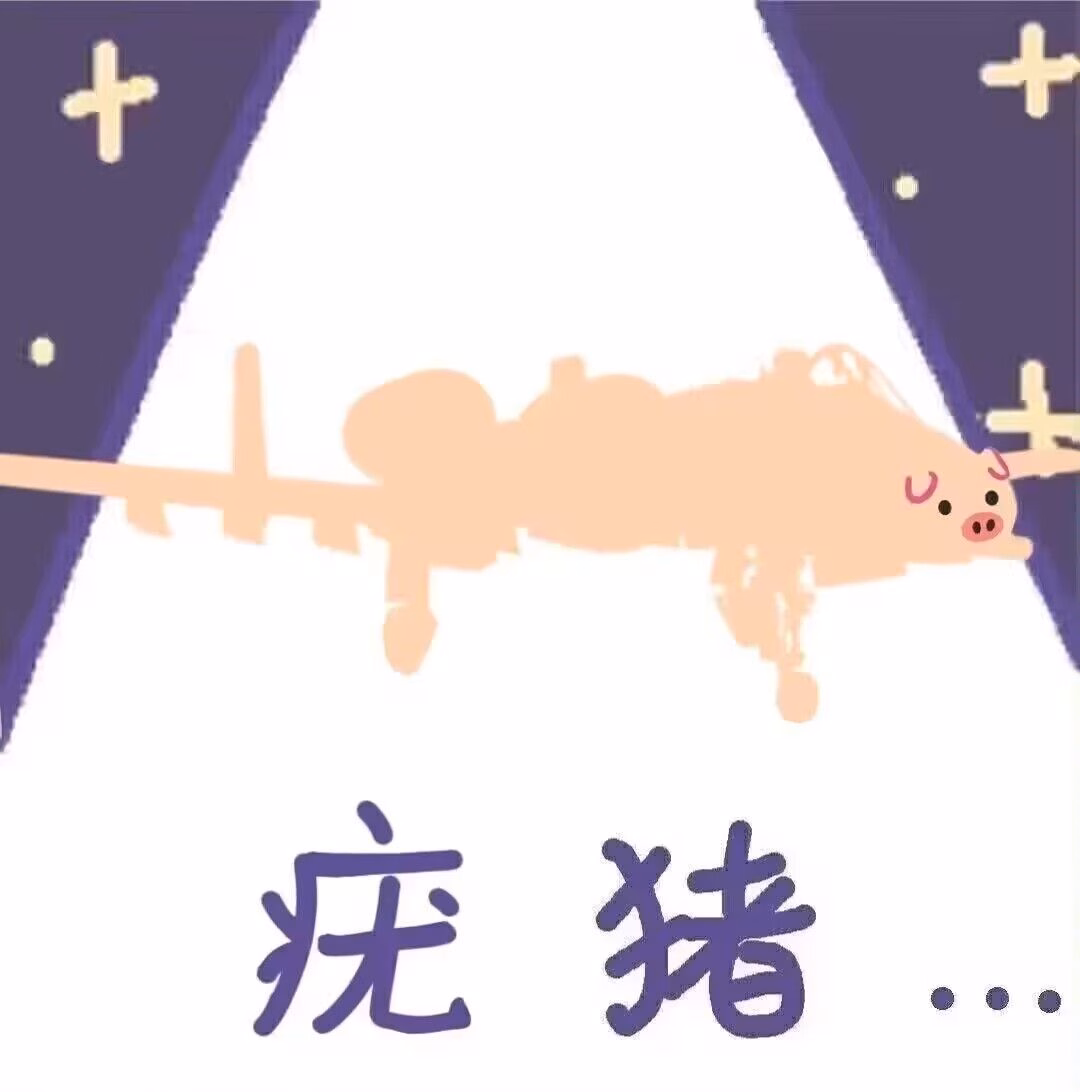 疣猪