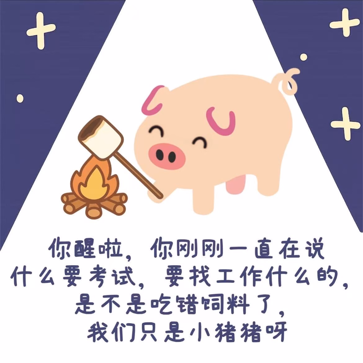 c4f2f0f20cb144e3c2563e353d4c4fe3|500x500