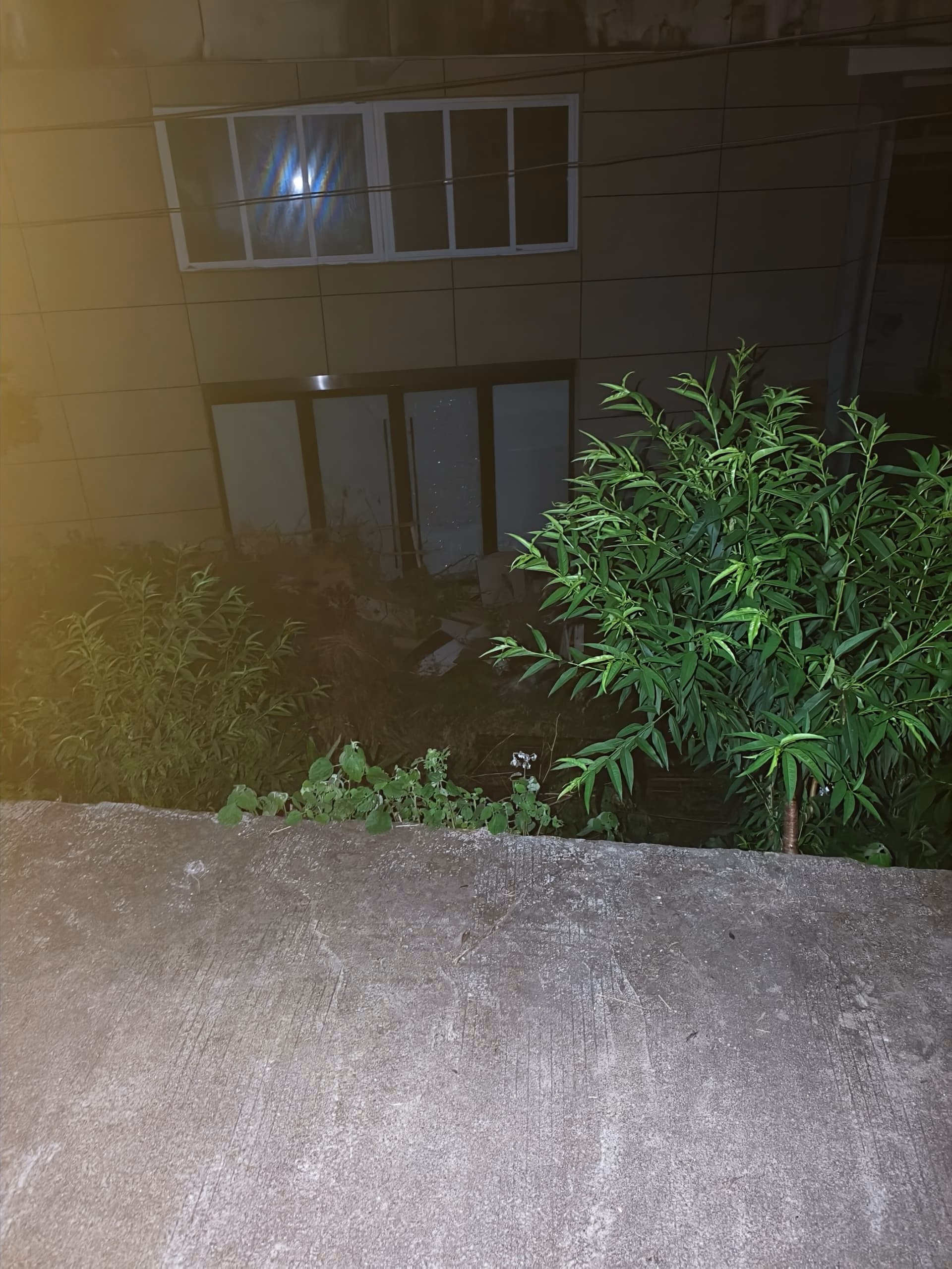 IMG_20250624_214754|375x500