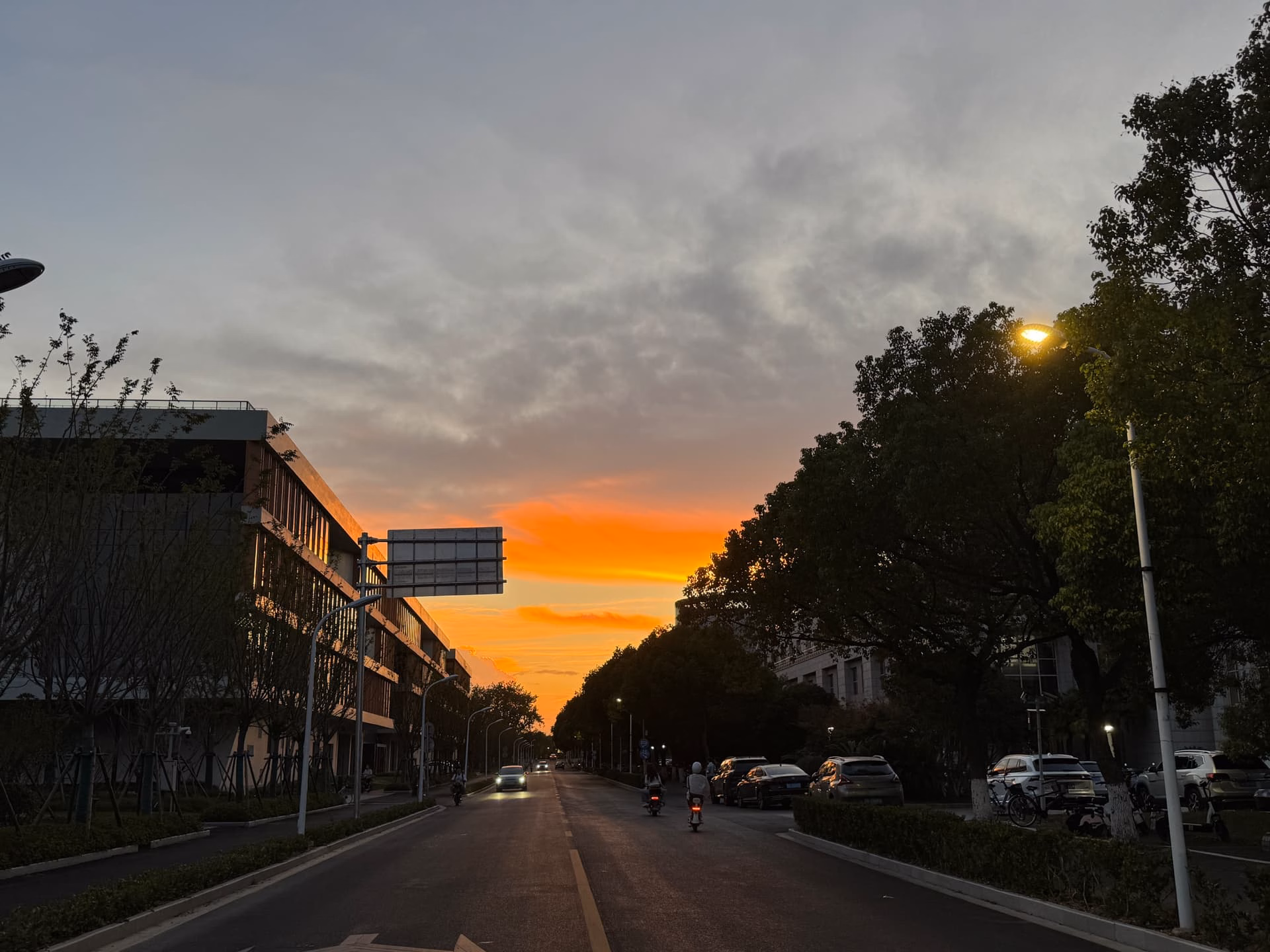 IMG_3953|666x500