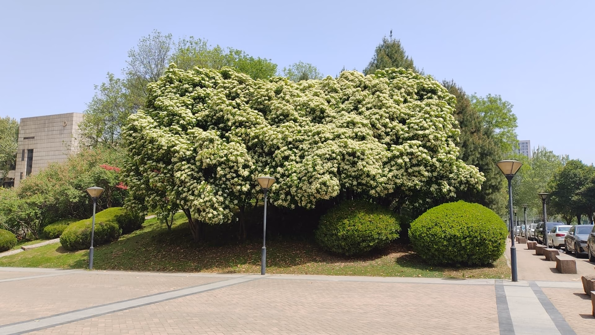 wx_camera_1744261122696|690x388