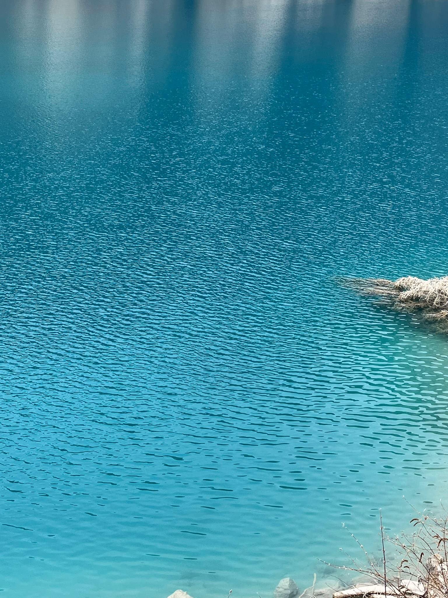 IMG_3541|375x500