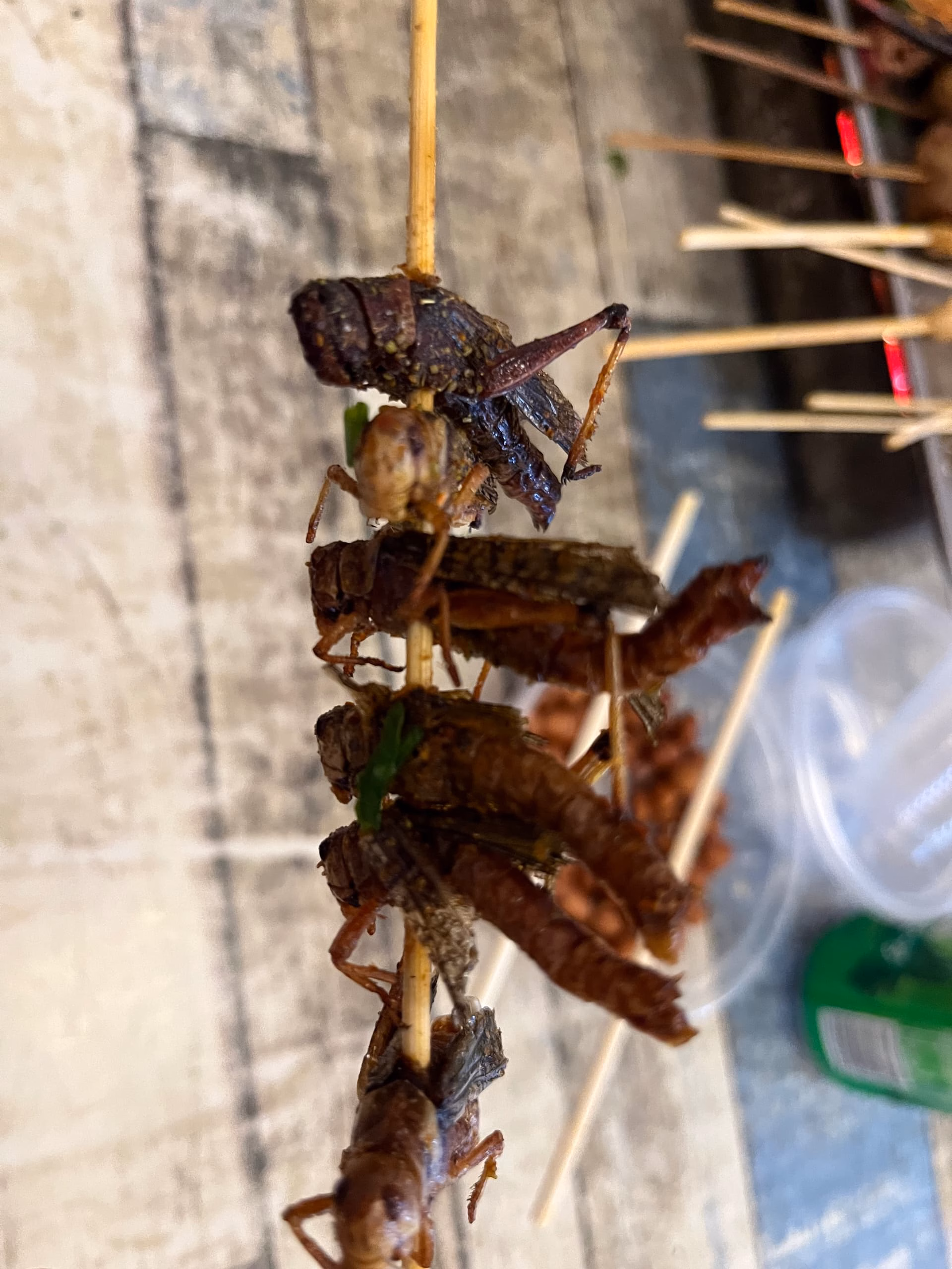 IMG_4757|375x500