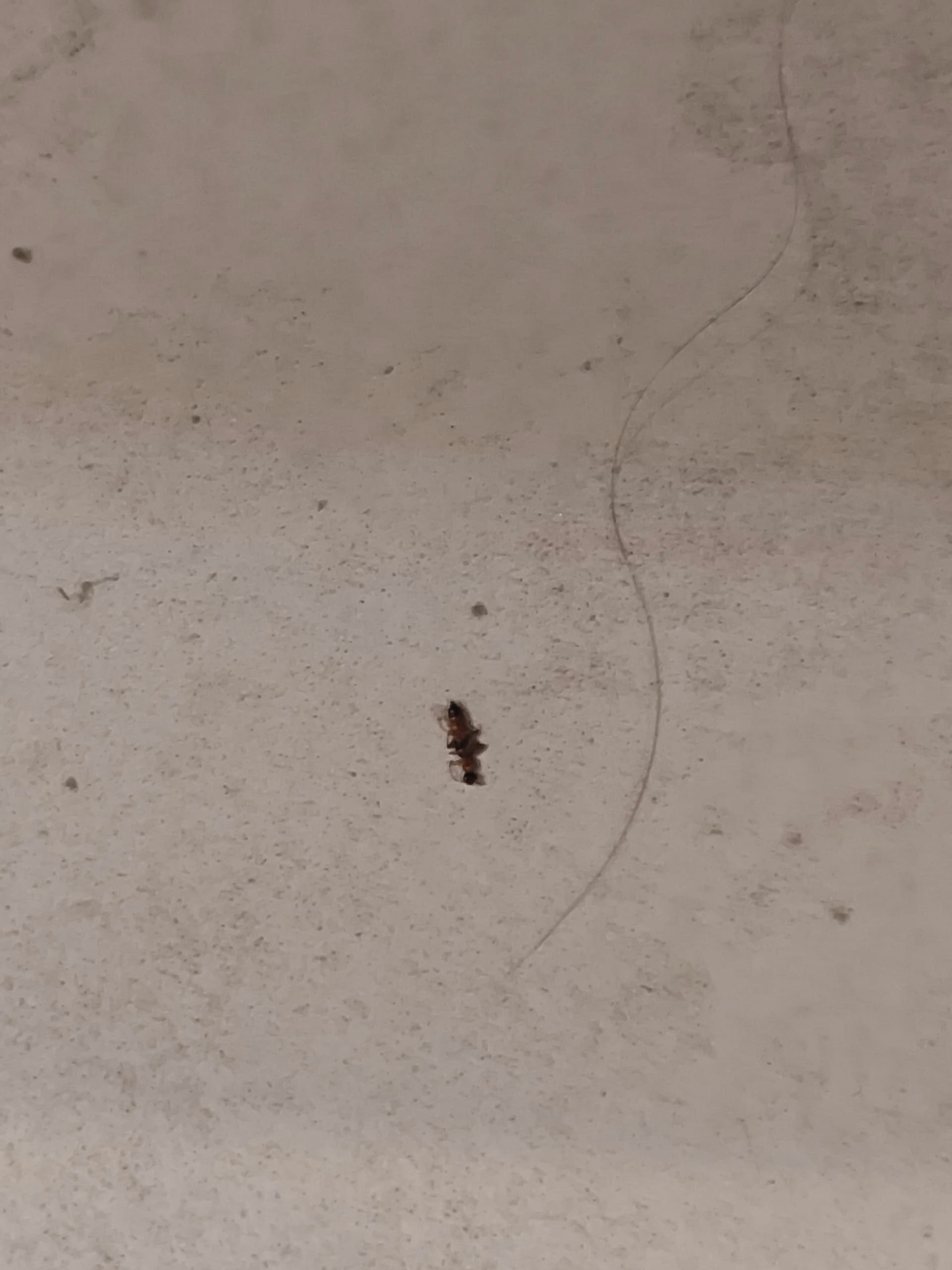 MVIMG_20250822_010402|375x500