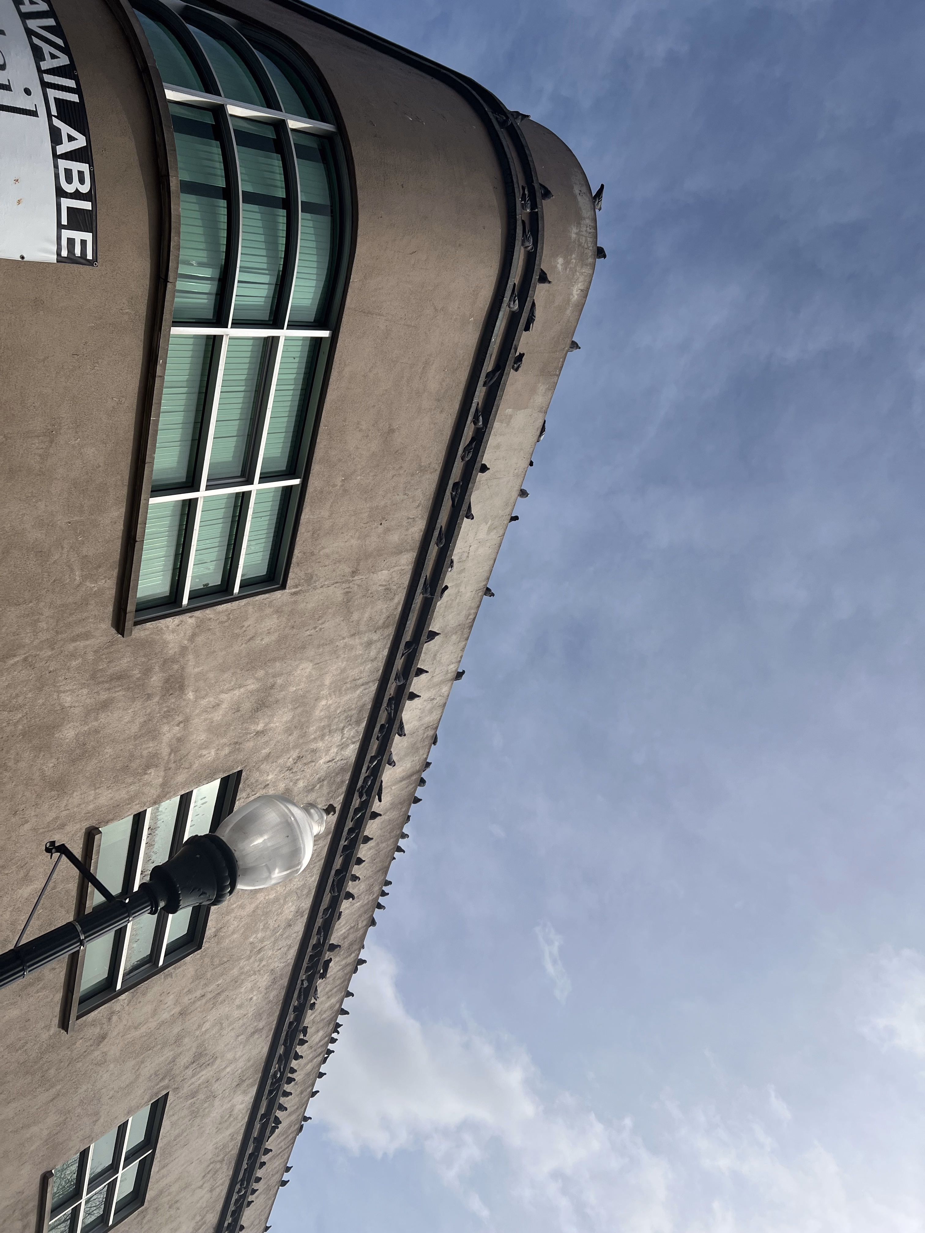 IMG_6030|375x500