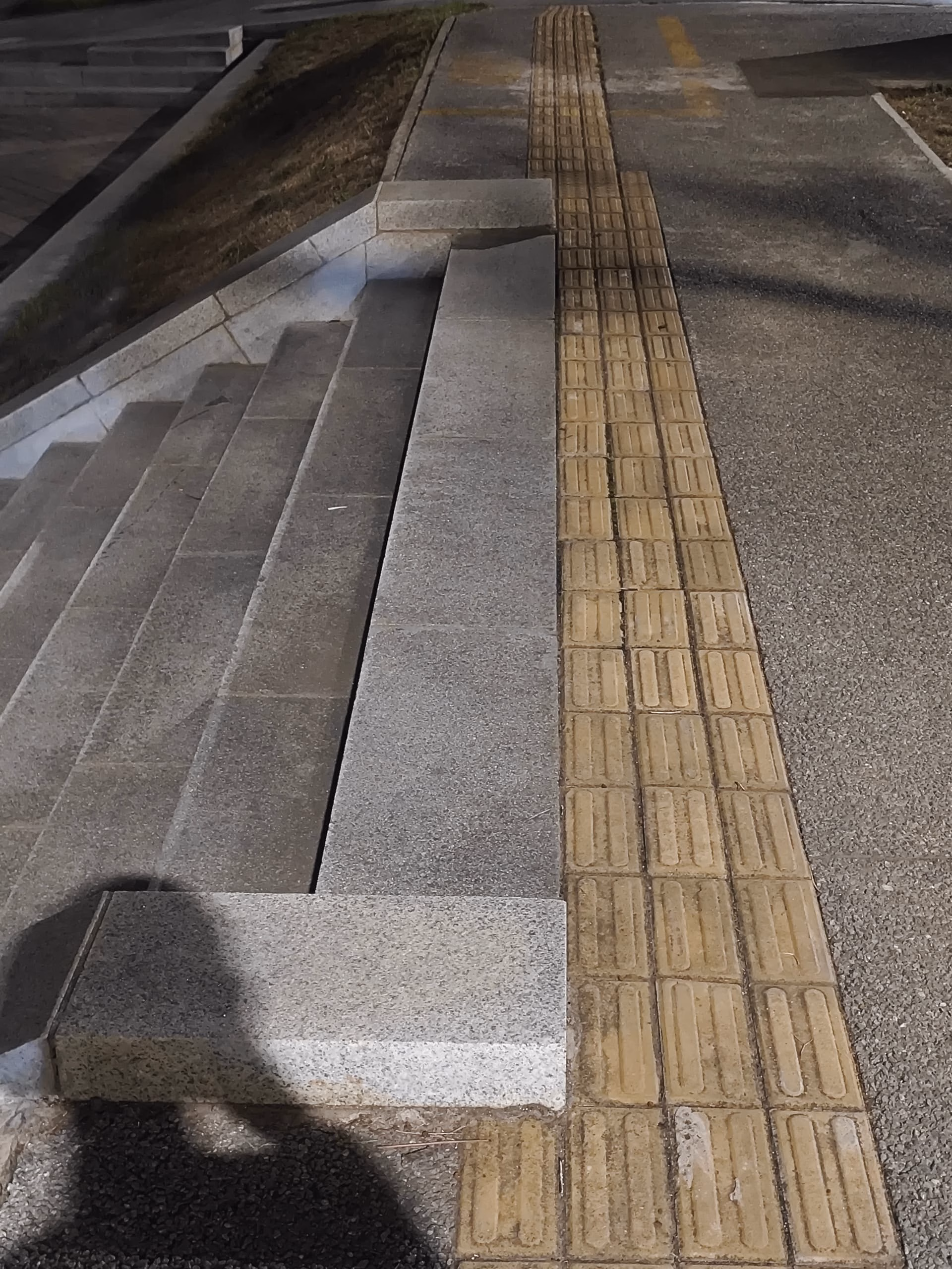 MVIMG_20250_212729|375x500