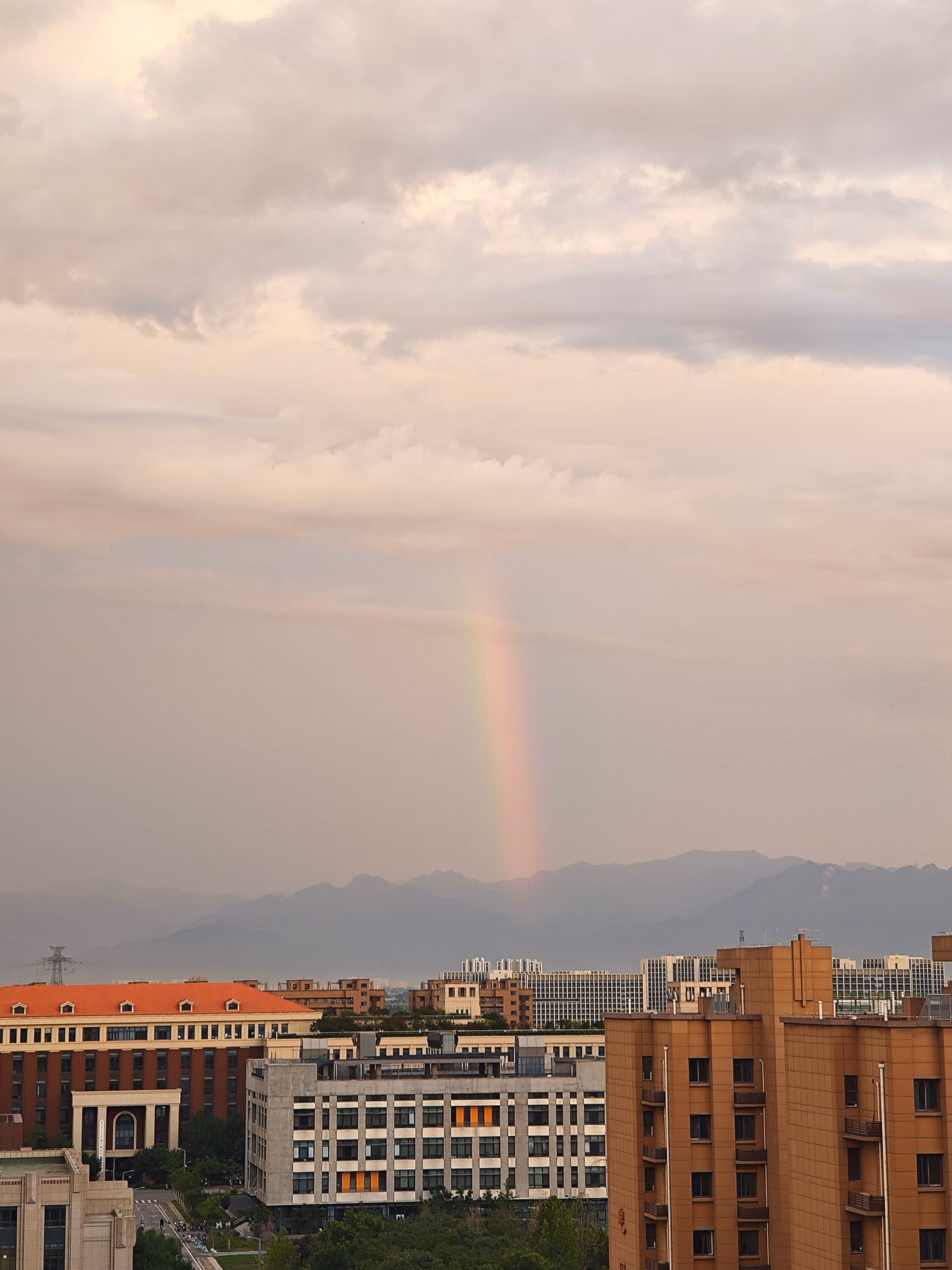 MVIMG_20250630_195551|375x500