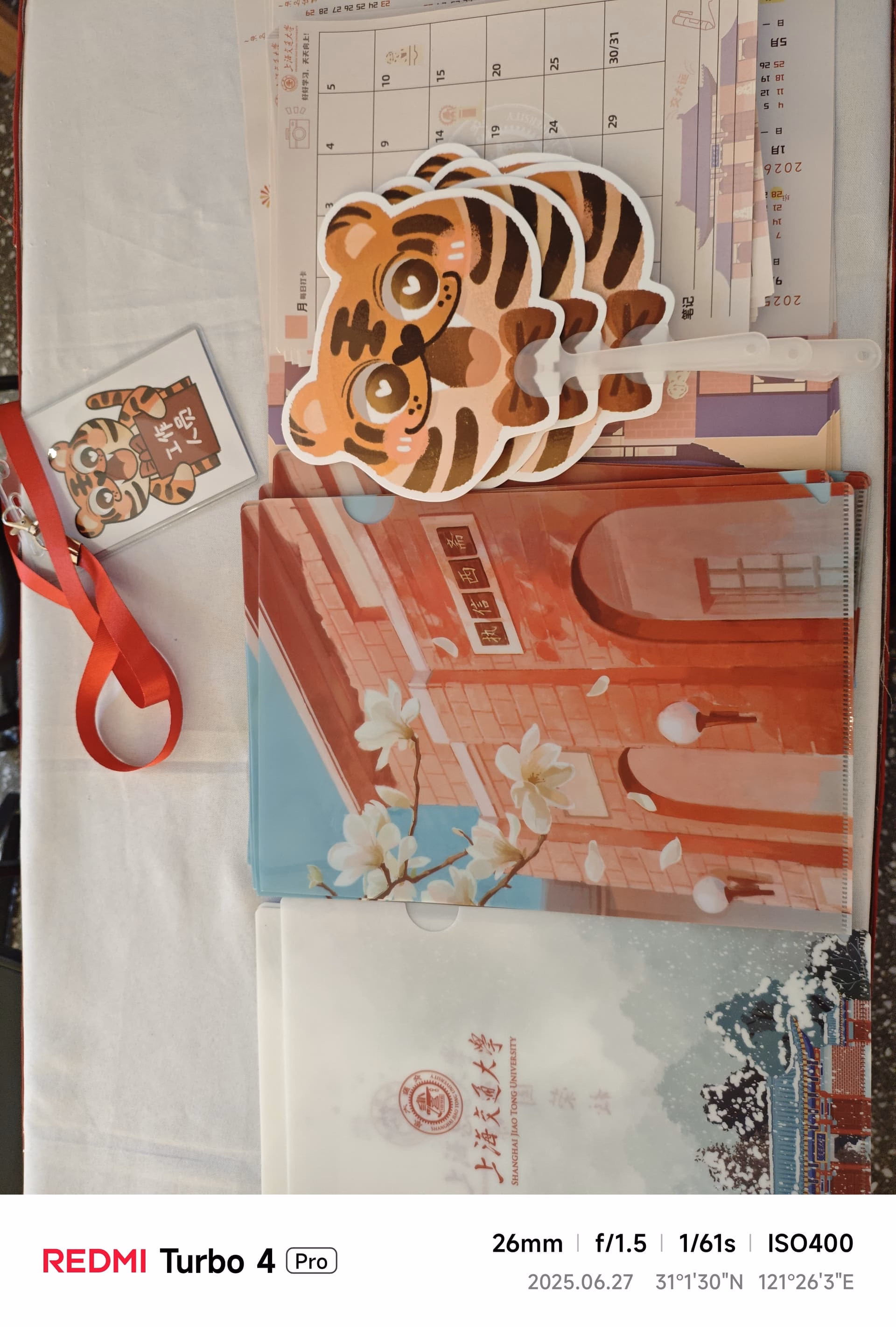 MVIMG_20250627_150307|337x500