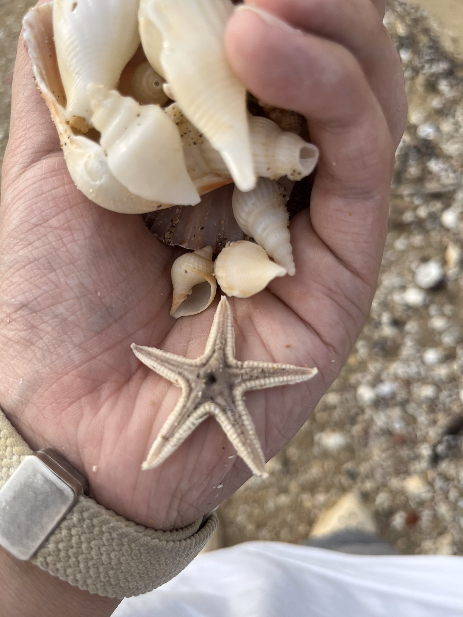 IMG_5895|375x500