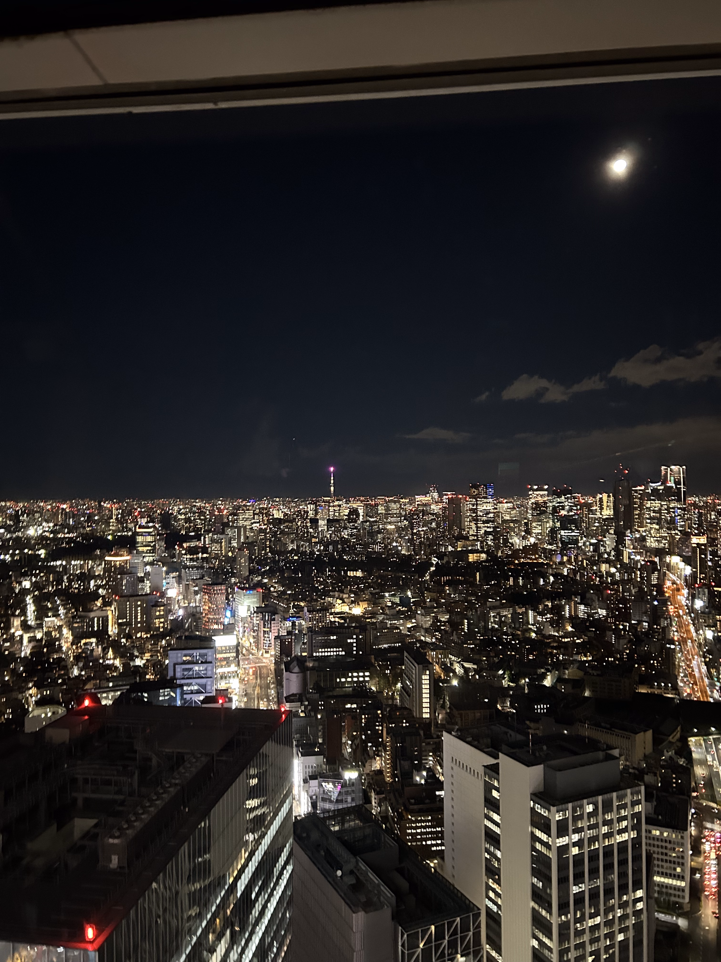 IMG_4723|375x500