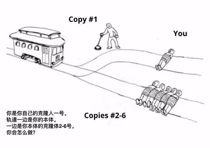 IMG_5568|690x486