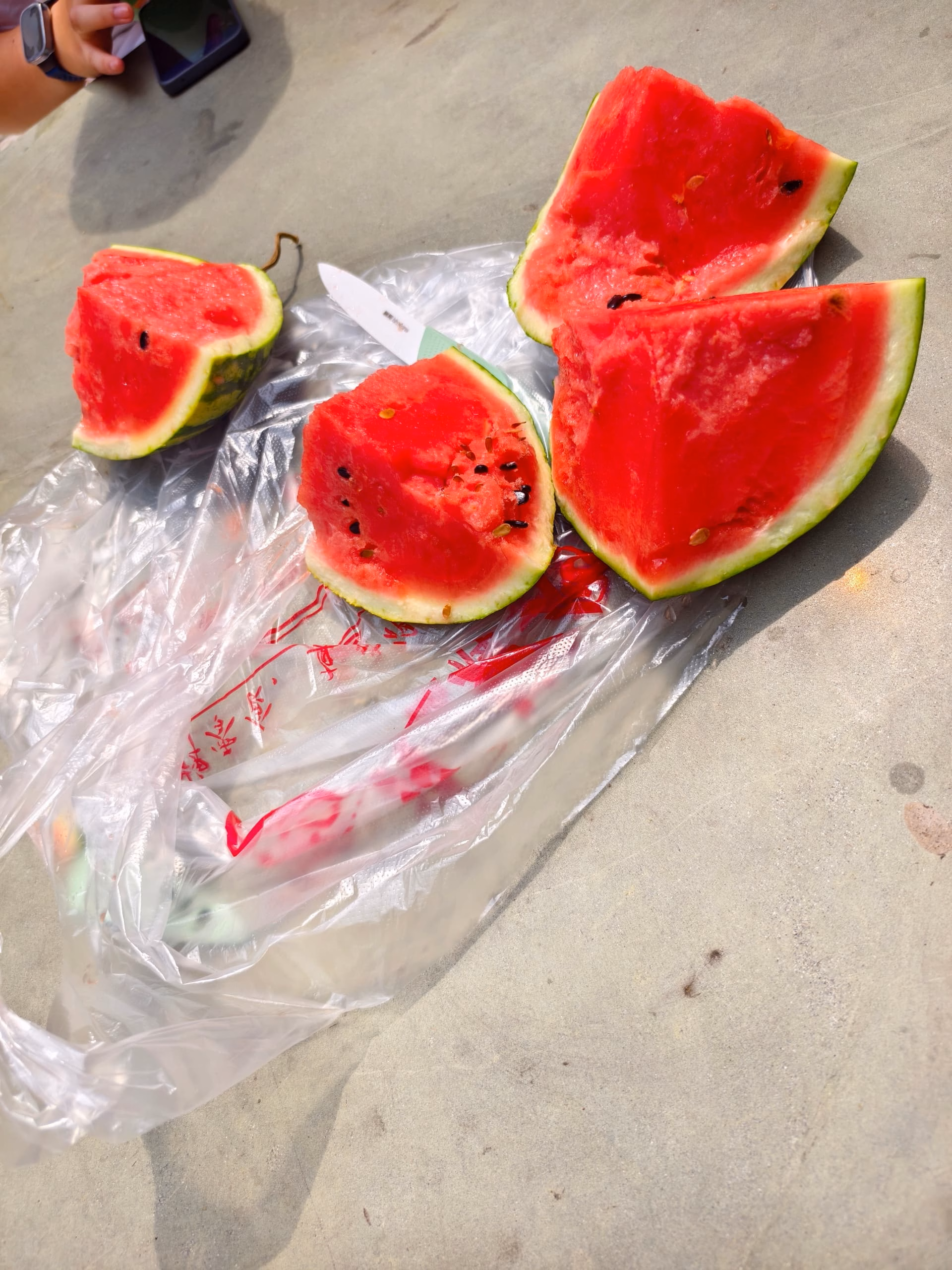 IMG_20250525_095148|375x500