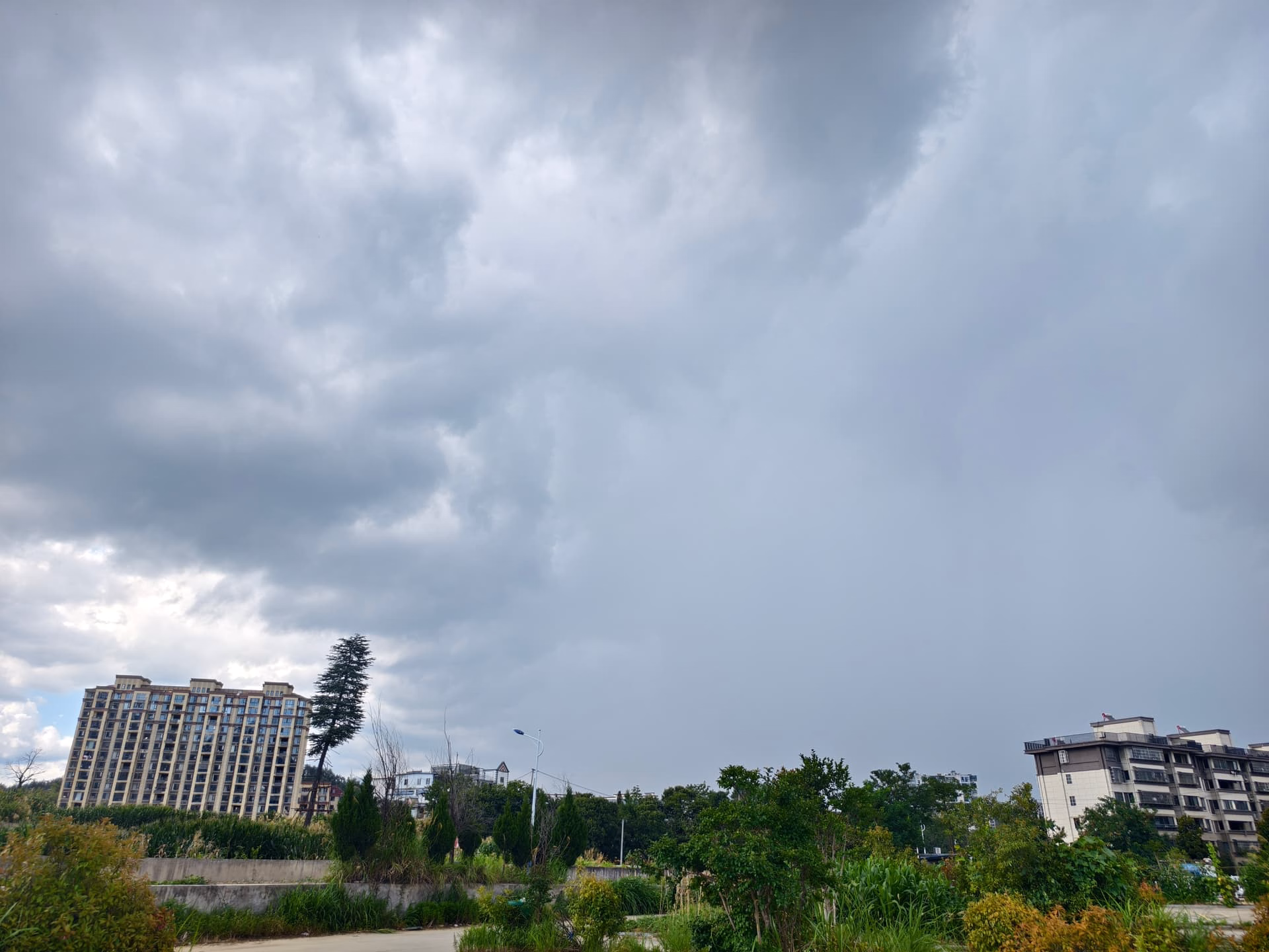 IMG_20250708_164004|666x500
