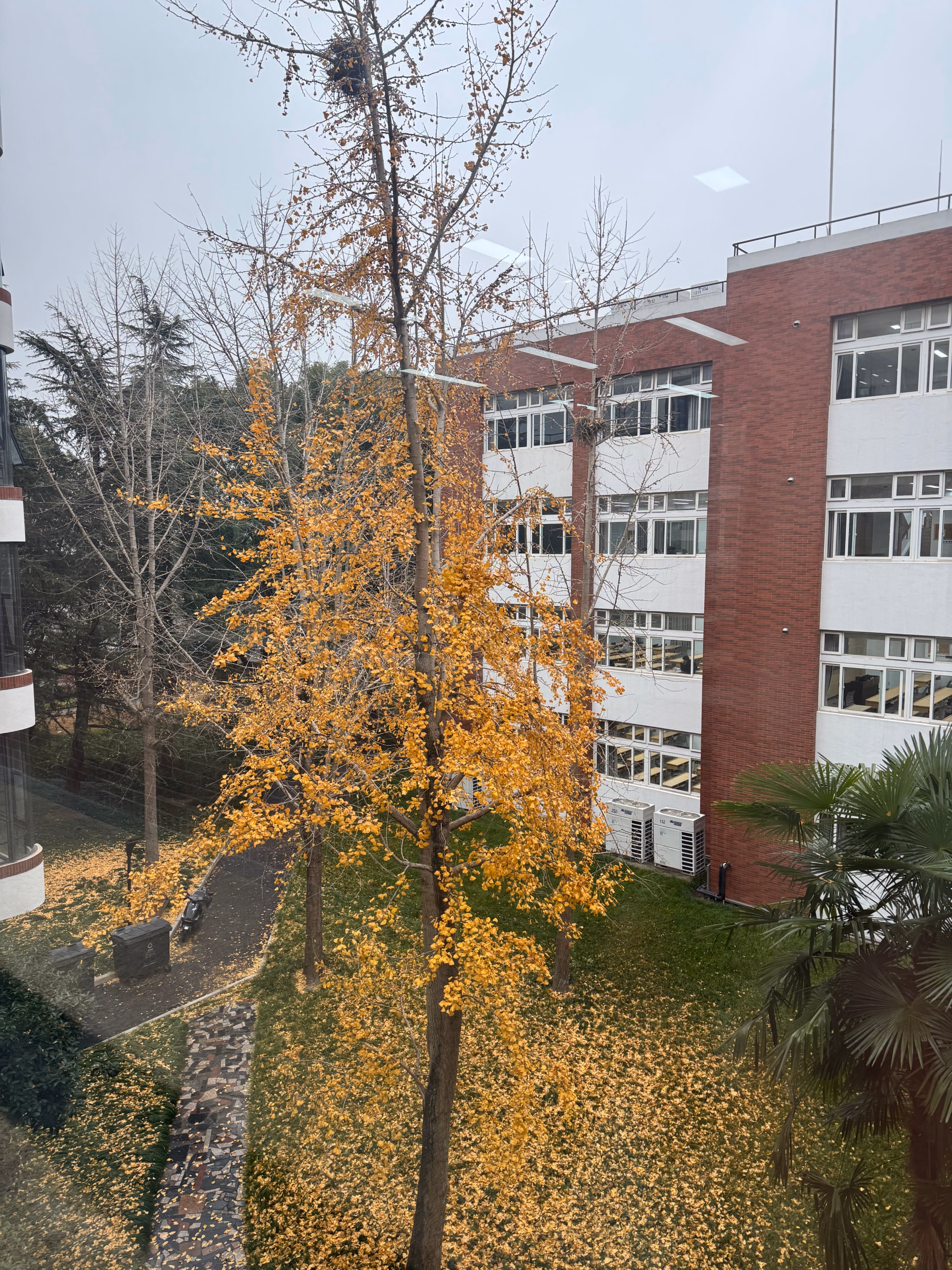 IMG_5651|375x500