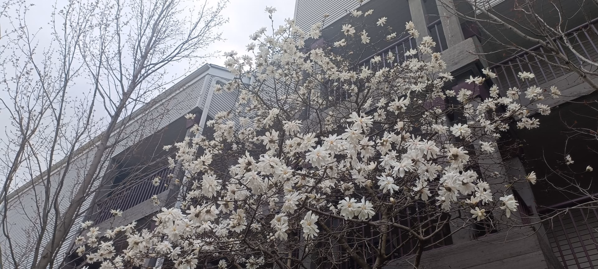 IMG_20240314_153457|690x310