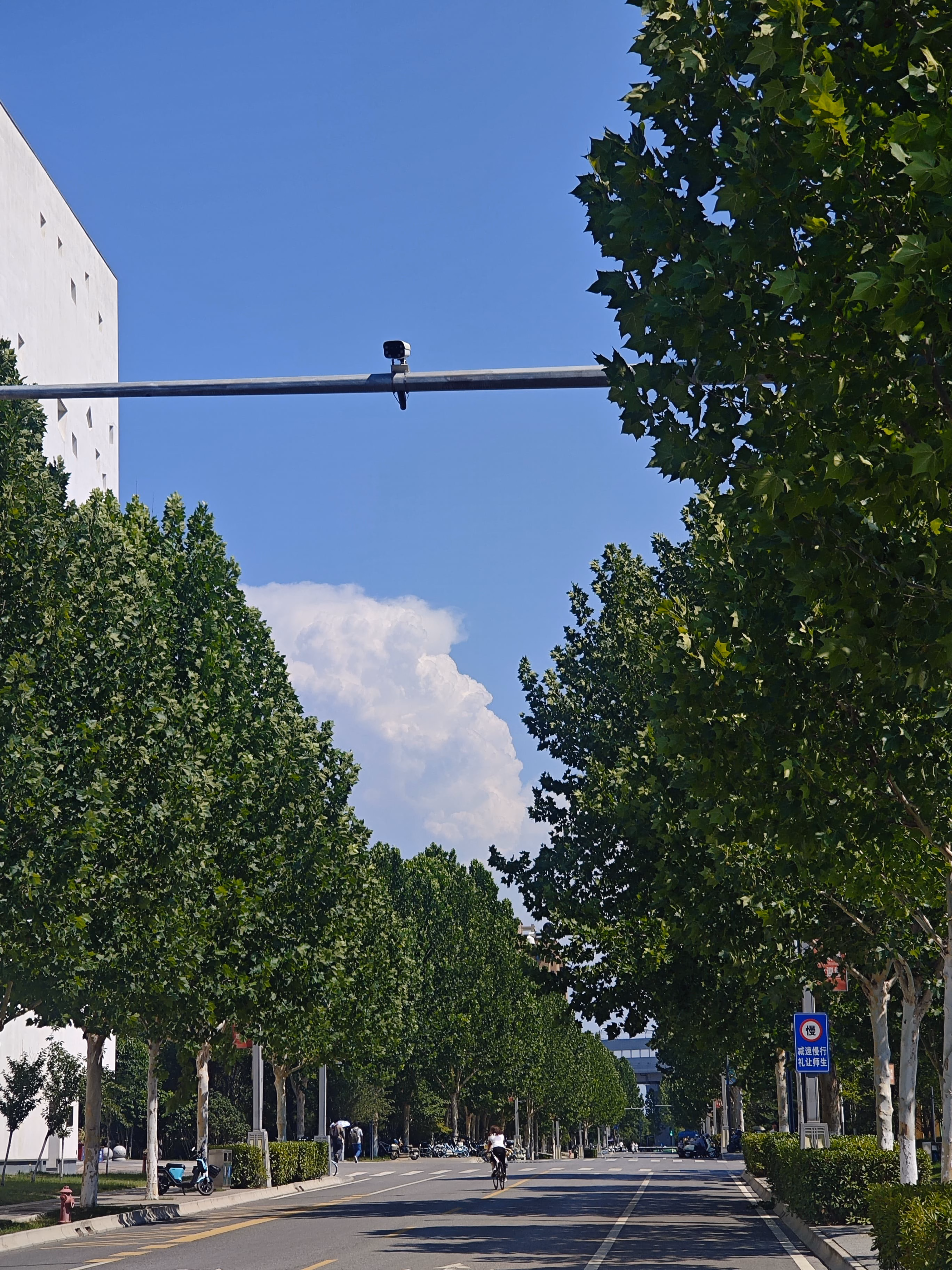 MVIMG_20250628_151746|375x500