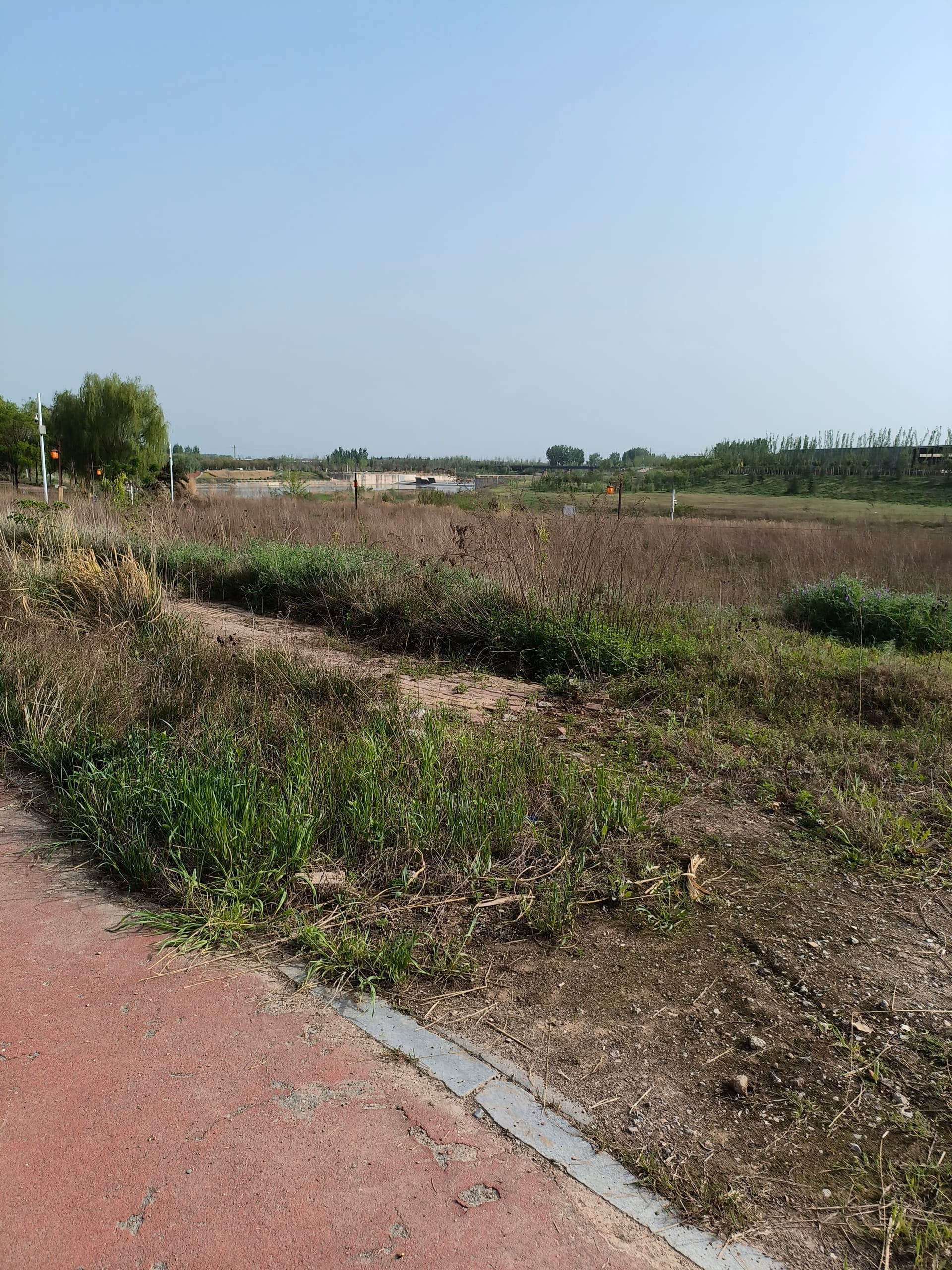 路 2|375x500