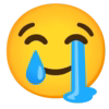 :sob_smiling_face_with_tear: