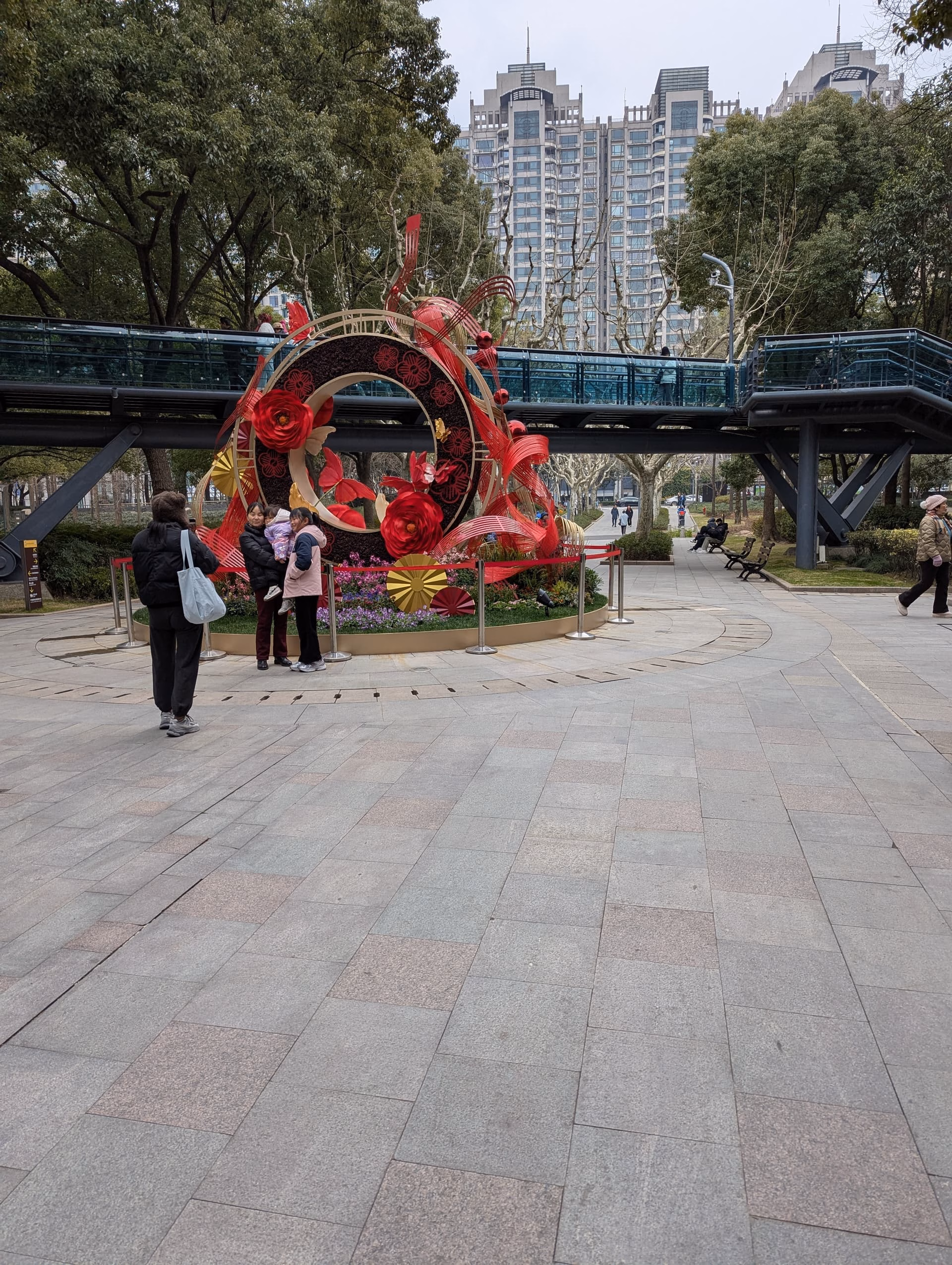 PXL_20250222_070416250|376x500